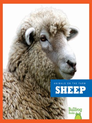 cover image of Sheep